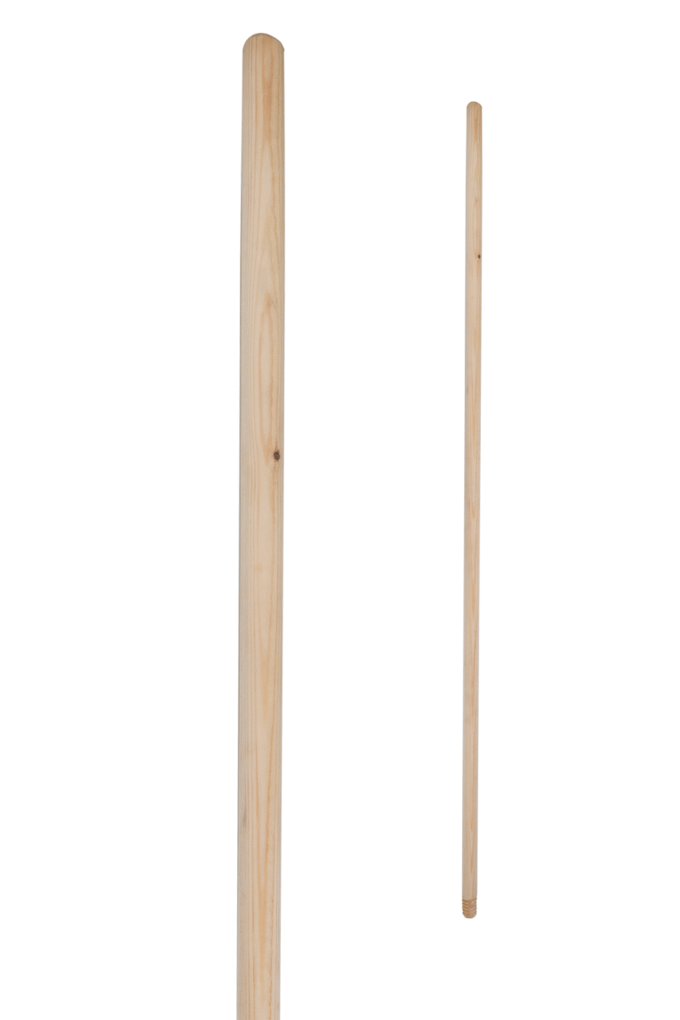 FIRÇA SAPLARI